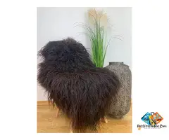 Natural, beautiful Melerade sheepskin