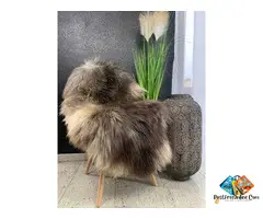 Natural, beautiful Melerade sheepskin