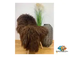 Rugs made of natural Swedish sheepskin