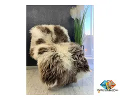 Dutch sheepskin and Texel - decorative carpet