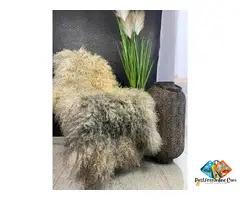 Gotland sheepskin, carpets and decorations