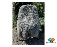 Gotland sheepskin, carpets and decorations