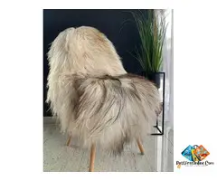 Long-pile Icelandic sheepskin rugs