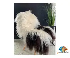 Long-pile Icelandic sheepskin rugs