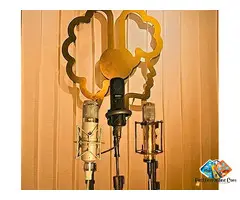 Telefunken Mic Recording Studio in Mohali & Chandigarh | Elahi Music
