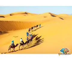 Best Desert Safari in Jaisalmer for Thrill and Culture