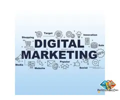 Affordable SEO Solutions in Navi Mumbai