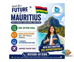 Study Visa Consultants in Haryana for International Education