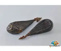 Bear Bile and Ox Gallstones for sale