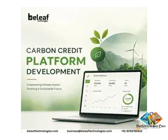 Can a Carbon Credit Platform Accelerate Your Net-Zero Strategy?