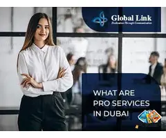 Business setup consultant in Dubai