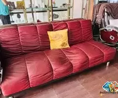 Durian Sofa cum bed for sale / 2