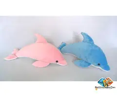 🧸Create Cute. Learn Smart. Earn from Home!