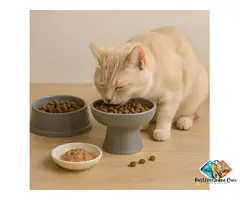 Ceramic Cat Fountain - Nokaaurorastone.com