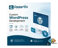 Custom WordPress Development Company