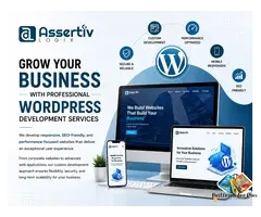 Professional WordPress Development Services