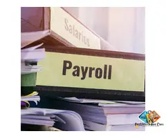 Payroll Services in Edmonton