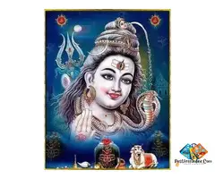 love marrige expert guru ji