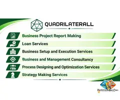 Professional Business and Management Consultancy Service of various kinds specially according to cli