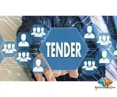 Tender Consultancy Services in India