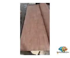 best quality keruing face Importer