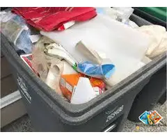 Efficient Junk Removal Langley