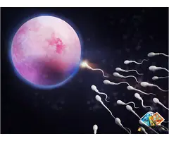 Advanced Fertility Doctor in Abu Dhabi for Reproductive Care