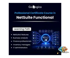 NetSuite Functional Training Online with Certification and Job Assistance