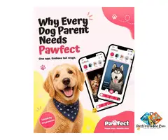 Best Pet Match App for Dogs: Why Pet Parents Are Choosing Pawfect