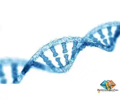 Whole Exome Sequencing Service provider