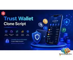 What Blockchain Networks Support Crypto Token Development?