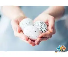 Personalized Eggs Freezing in Abu Dhabi for Your Future Fertility
