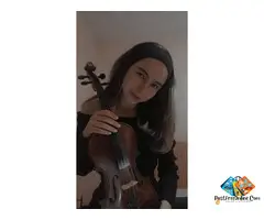 Classical violin course