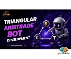 Create Triangular Arbitrage Development With Trade Execution