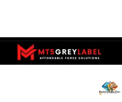 Launch Your Forex Brokerage with MT5 Grey Label