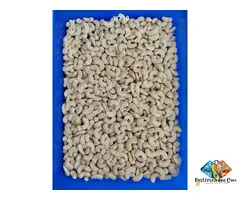 Kannad Khuldabad cashews wholesaler exporter in Aurangabad Maharashtr