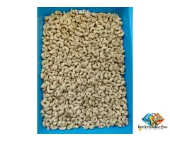 Kannad Khuldabad cashews wholesaler exporter in Aurangabad Maharashtr