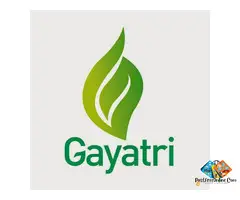 Psyllium Husk from India: Global Supplier, Manufacturer & Exporter Guide