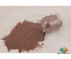 Psyllium Husk from India: Global Supplier, Manufacturer & Exporter Guide