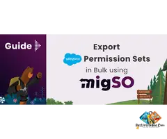 How to Clone Permission Sets in Salesforce?