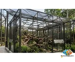 Professional Zoo Construction Services in Thailand
