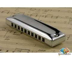 Mouth Organ classes