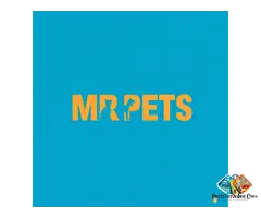 MrPets | Trusted Pet Grooming Services