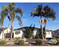 Affordable Tree Emergency in Beverly Hills - Gabrieltreeservices.com