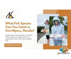 Never Been Fishing? Start Here — Fort Myers, FL