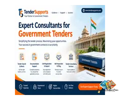 Expert Consultants for Government Tenders