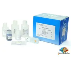 Buy DNA Fragmentation Kit