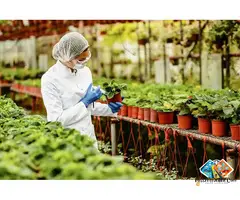 Fertilizer Products for Agricultural Applications