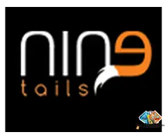 Nin9 Tails – Premium Pet Grooming & Care Services