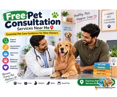Free Pet Consultation Services Near Me – Essential Pet Care Guidance for New Owners